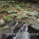 연가리 캠핑펜션 이미지