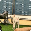 멍프리스쿨 이미지