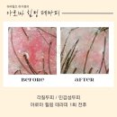 하라힐즈전주