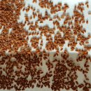 연리지농장 이미지