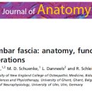 The thoracolumbar fascia: anatomy, function and clinical considerations 이미지