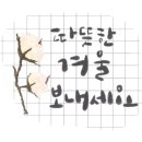 단디요양보호사교육원 이미지