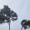 붕어섬 식당 이미지