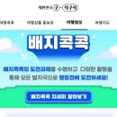 가둘기정원보쏭