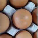 계림축산 이미지