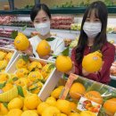 남서울농업협동조합 하나로마트