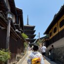 보송보송 타코야끼 | [교토 D2] 유카타 입고 청수사-야키니쿠,수제맥주 맛집,인생타코야키 맛집 다녀온 후기