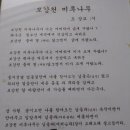 보강천 미루나무숲 이미지