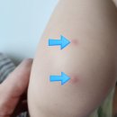 채움소아청소년과의원 이미지