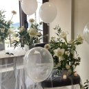 파라스테이 이미지