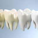 루시아의원 이미지