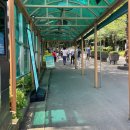 절물자연휴양림 이미지