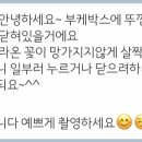 플라웍스 이미지