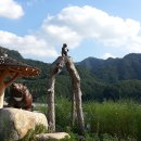 미시령선바위 이미지