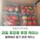 pet132다9862 | 딸기·대추·방울토마토 포장 가능한 투명 과일 케이스 과일 농가에서 많이 쓰는 블루베리 포장용기...