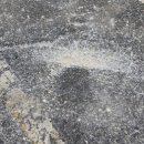 루페스 빅풋 디테일링센터 천안점 이미지