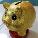 에이스외국어번역행정사사무소 이미지