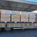 코브나인 이미지