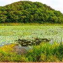 대평공원 화장실 이미지