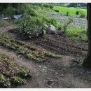 덕현농장 이미지