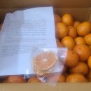 윤영농장 이미지