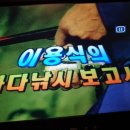 감성돔필름