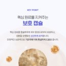 똘이펫 | [영양제] 펫누리 뉴트리션플랜B (강아지 기관지 영양제)