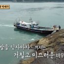 계도(닭섬) 티스토리