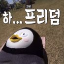 한강가자 Daum카페