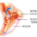 원당연세병원 이미지