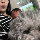 RP짐 | 집에서 산후조리 1주차 후기