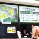 자작나무숲 가는 길 이미지