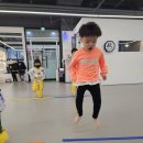 용인대 청룡 태권도 이미지