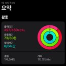 마이라인 이미지
