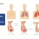 서울대학교 치의학대학원 이미지
