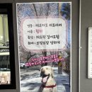 타이어서비스 | 충주타이어 제네시스 전용 교체 서비스 경험 후기