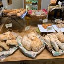 아라파파 이미지