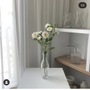 사월애꽃 이미지