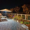 파인트리 이미지