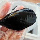 늘푸른알뜰마트 | 여수푸른수산 홍합으로 홍합탕 끓이는법 후기