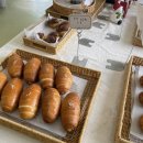공주 동학사 카페 휘연 | 대전 근교 카페 소금빵 맛있는 곳