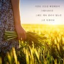 Ð-·· 기억의 잔상17 , ＼。 이미지