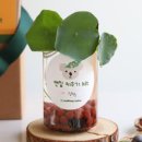 연꽃유치원 이미지