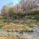 경주동궁원 이미지