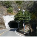 250329 진해 장복산(마진터널~장복산~덕주봉~드림로드~마진터널) 이미지