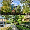 하우덴 | 하우밴 정착 서비스 후기 - Wesbrook Village(UBC) 밴쿠버 웨스트