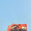 웃는내일약국 | 내일은 모른다