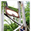 프로방스 레스토랑 이미지