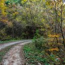 이화산등산로 이미지