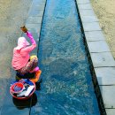 샛도리물 이미지